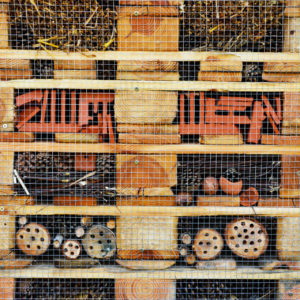 Zdjęcie przedstawia drewniany hotelik dla owadów znajdujący się przed budynkiem TCK