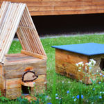 Zdjęcie przedstawia domek dla kotów i dla jeża znajdujące się na trawniku przed TCK