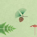 grafika z elementami lasu: żołędziem, grzybami, paprotką, szyszką i jagodami
