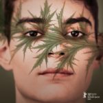 Plakat filmu "Szarlatan" przedstawiajacy twarz młodego mężczyzny z namalowaną na twarzy rośliną