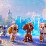 zdjęcie psów bohaterów animacji "Psi patrol"