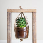 Zdjęcie przedstawia drewnianą ramę i zawieszoną w nim szklaną donicę z kaktusem