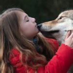 zdjęcie dziewczynki całującej wilka