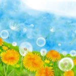 Obraz namalowany farbami wodnymi przedstawiający błękitne niebo i łąkę żółtych kwiatów oraz dmuchawców