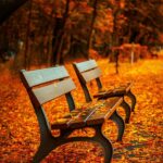 Drewniane ławki w parku jesienią