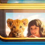 Zdjęcie przedstawia lwiątko i dziecko w oknie pociągu