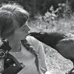 na zdjęciu Simona Kossak młoda dziewczyna z aparatem w prawej ręce, całująca czarną wronę, w tle łąka