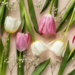 Zdjęcie kolekcja tulipanów z góry